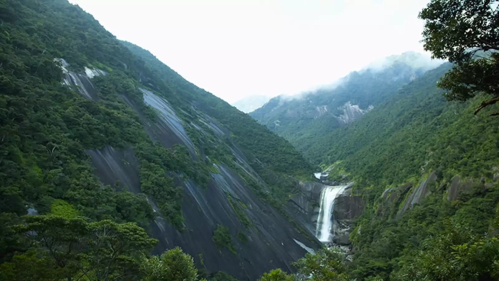 yakushima