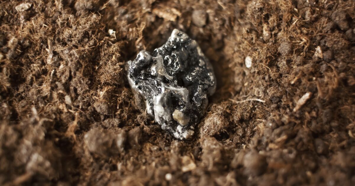 Kritik mineraller için yarış zaten sürüyor