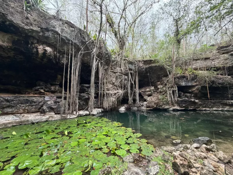 cenote yucatán.jpeg