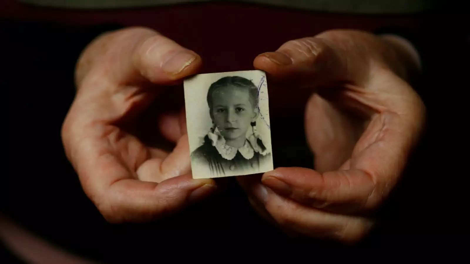 auschwitz 70 años 7