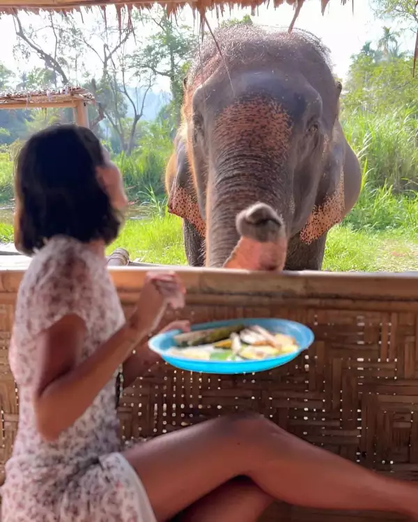 eiza-gonzalez-elefante