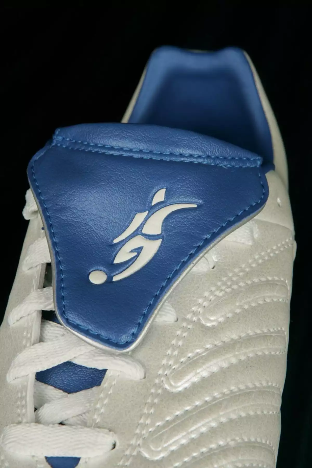 Logo Predator Beckham