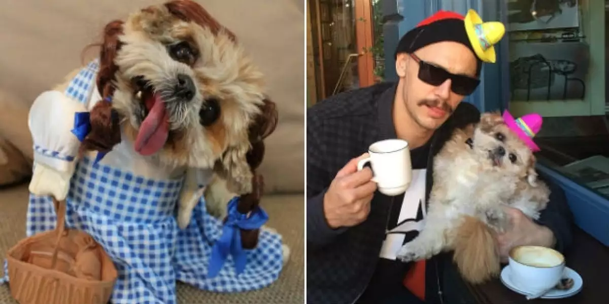 James Franco creyó que nunca conocería a alguien como Marnie The Dog y ahora son grandes amigos.