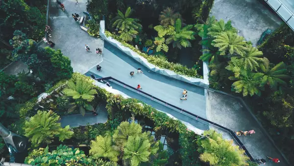 Vista aérea de una avenida de concreto donde camina gente y alrededor hay árboles y jardines.