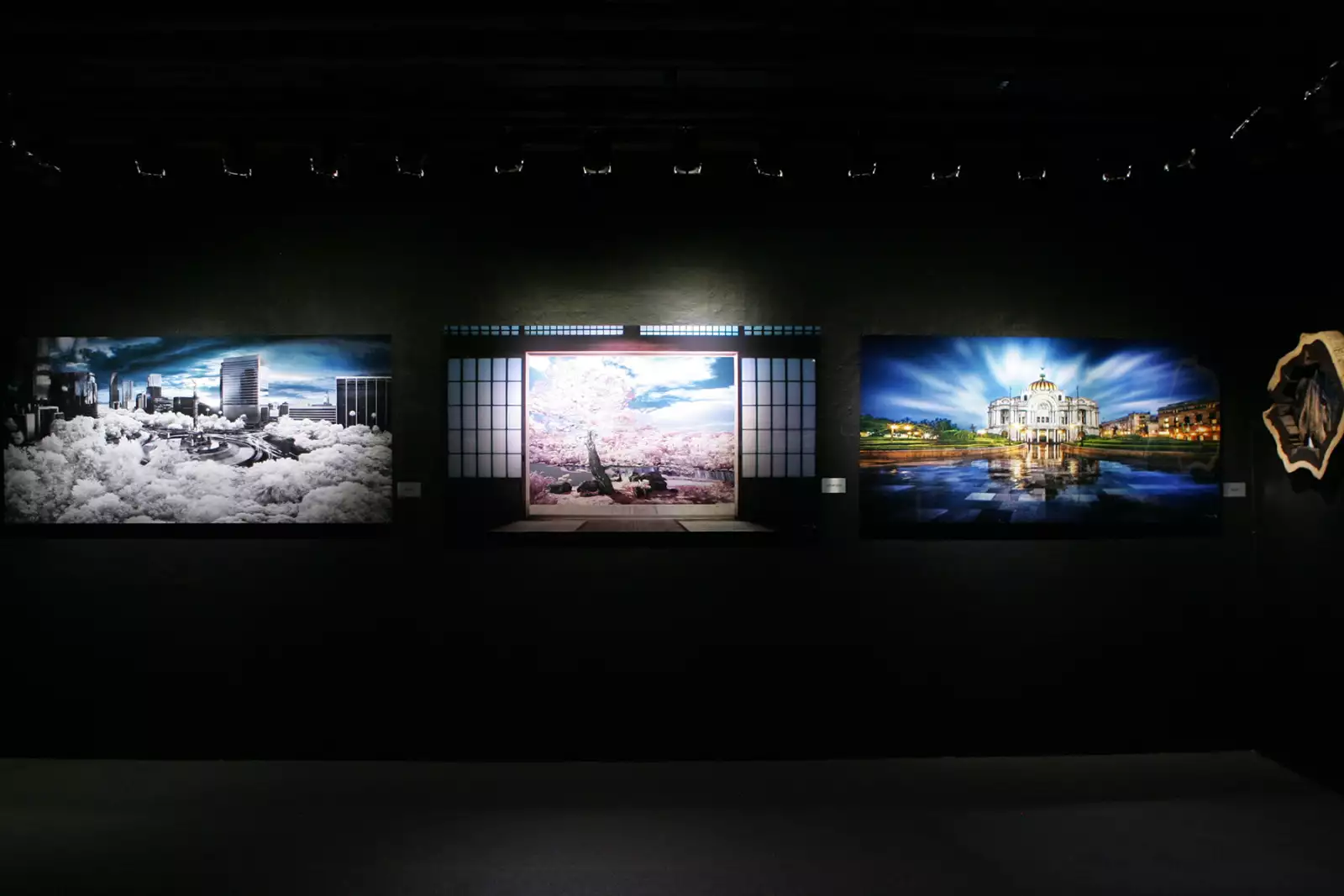 Muestra fotográfica de Pepe Soho