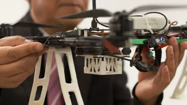 IPN desarrollo tecnol�gico