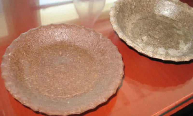 platos biodegradables