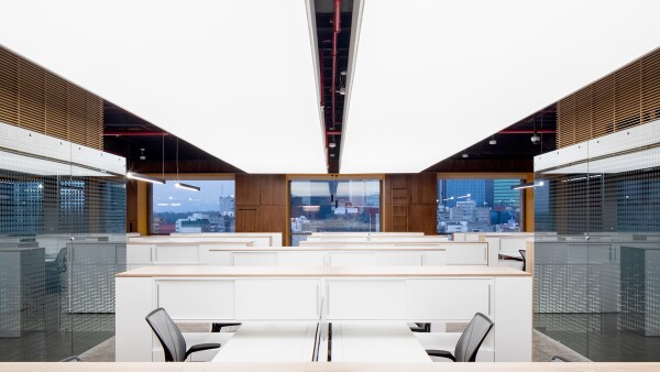 Oficinas Palacio de Hierro, a detalle