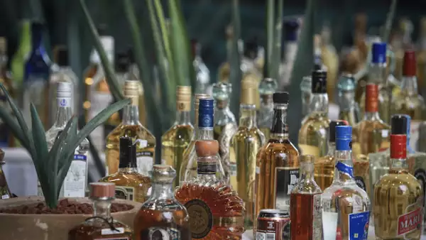 Botellas de tequila