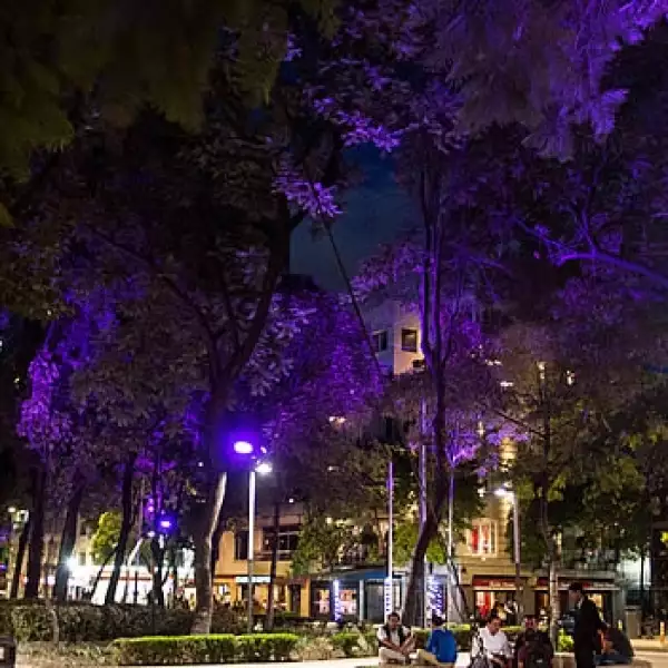 Reforma colores iluminarias