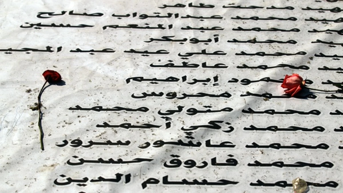 egipto rosas