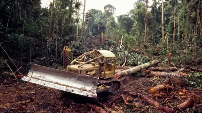 deforestacion cambio climatico