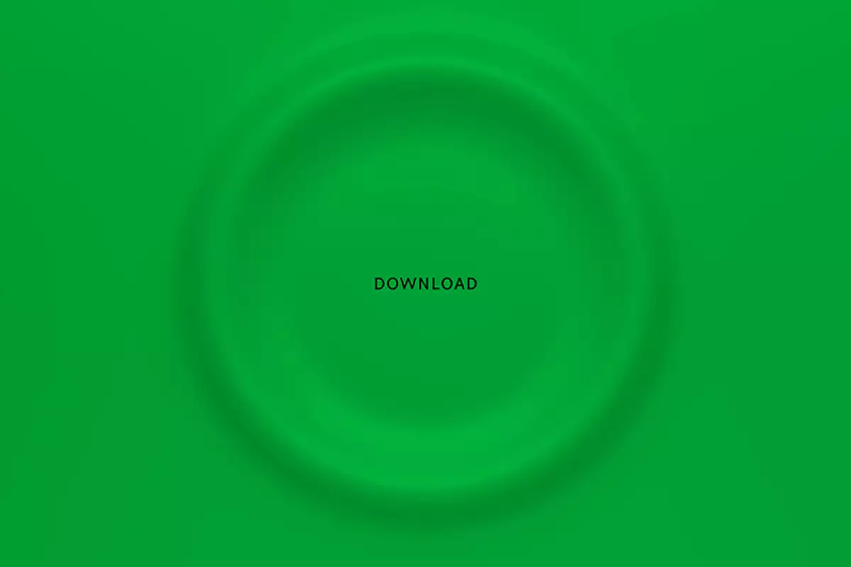 bottega veneta app verde