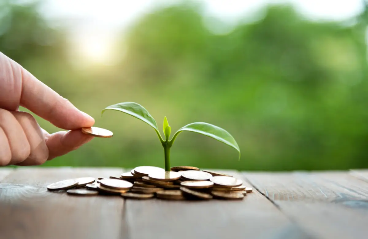 autocuidado financiero