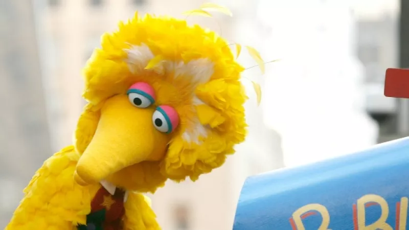 big bird niño con cancer