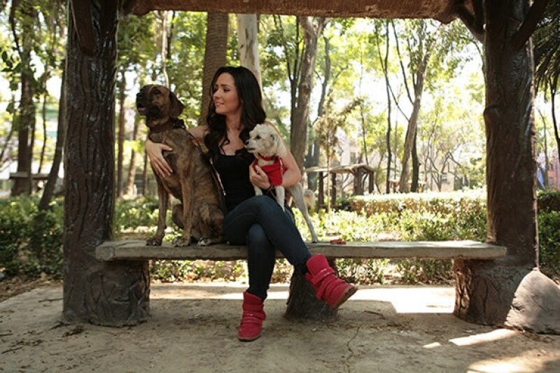 Tacha y Tito son perros muy amorosos.