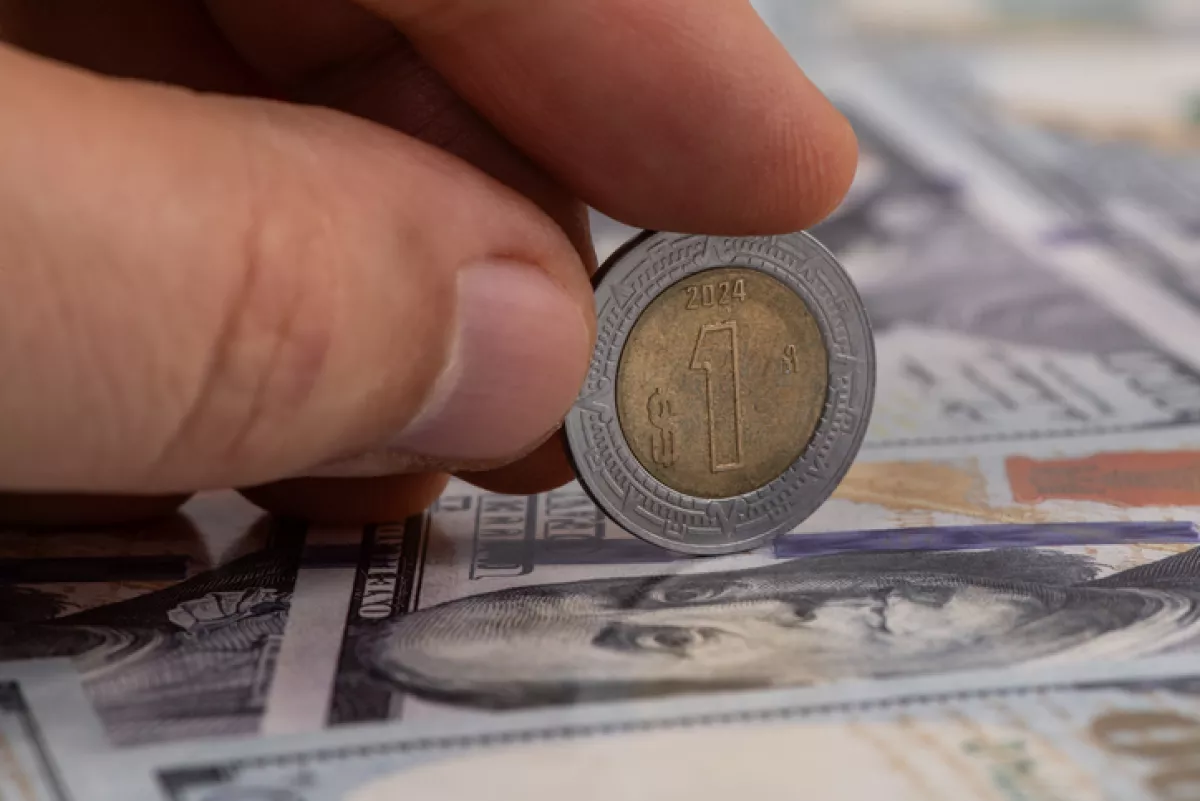 esperan crecimiento de remesas moderado