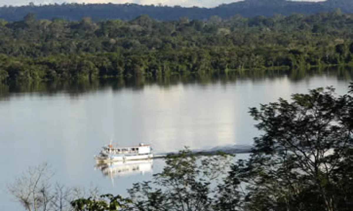 La recolección de imágenes es realizada por Google y la organización ambientalista Fundación Amazonia Sustentable. (Foto: AP)