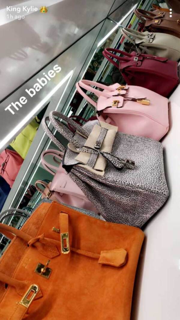 birkins-1