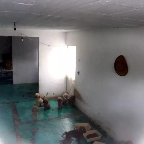 El exalcalde de Iguala José Luis Abarca, y su esposa, vinculados a la desaparición de 43 estudiantes, fueron detenidos este lunes en la delegación Iztapalapa, al oriente del Distrito Federal.