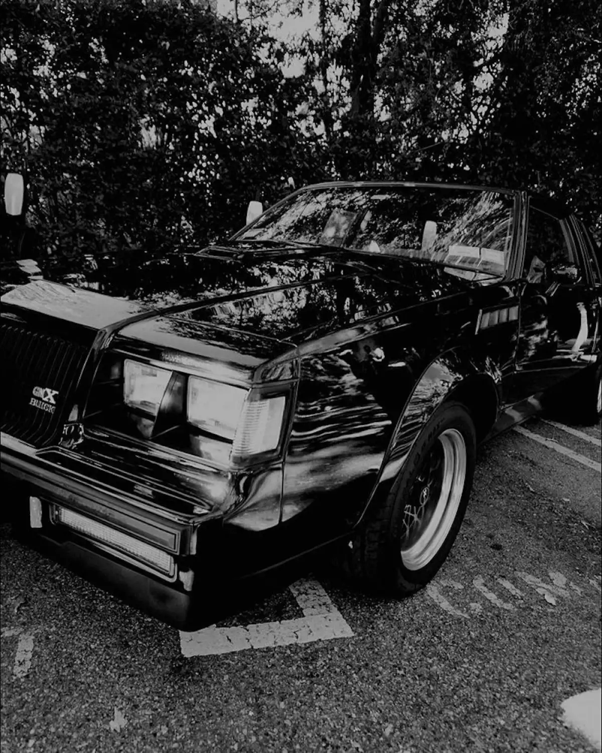 travis-coche.jpeg