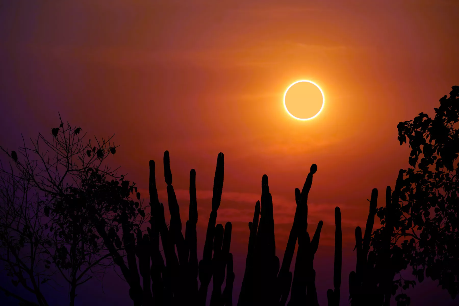 Eclipse solar anular 14 de octubre 2023: cuándo es y en qué estados se verá