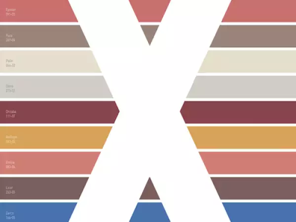 Paleta Hiperlocal Comex