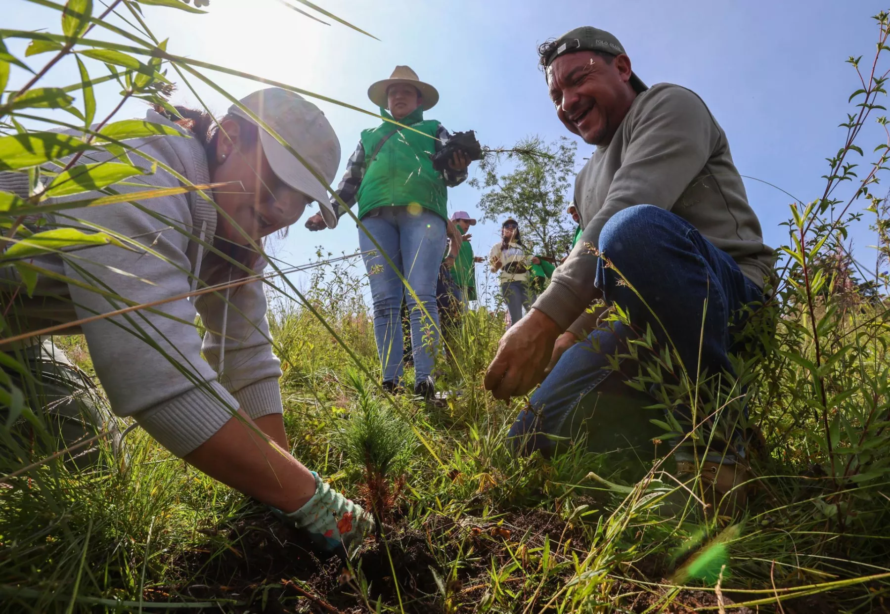 restauración ambiental mexico