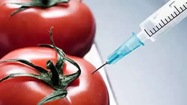 Biotecnología (Foto: Stockxpert)