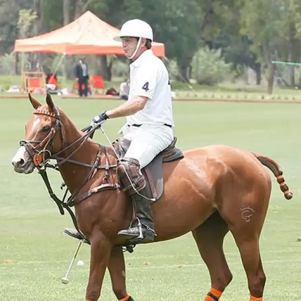 Roberto González Gracida