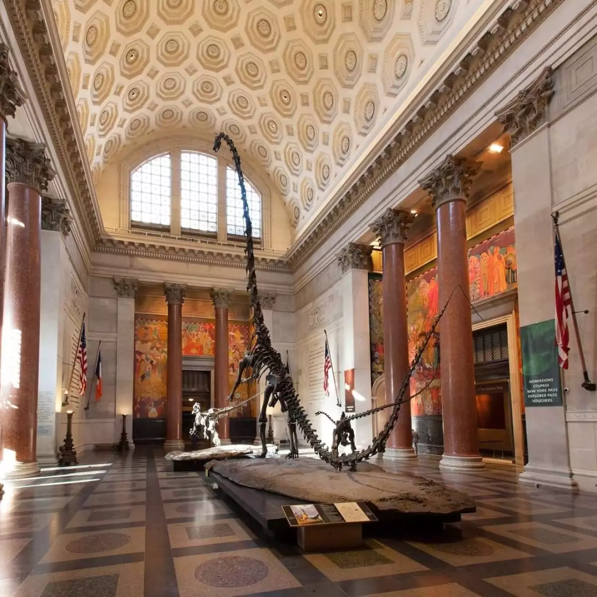 American Museum of Natural History