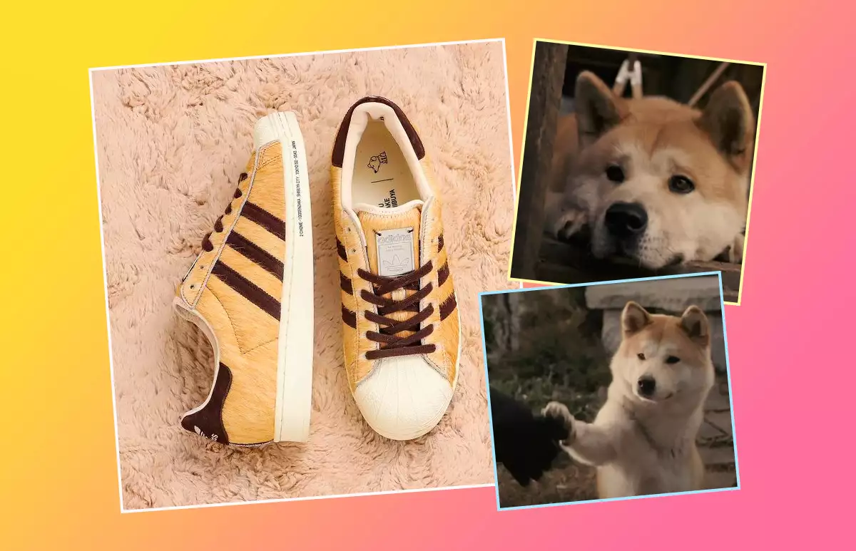 Adidas-Hachiko.jpg