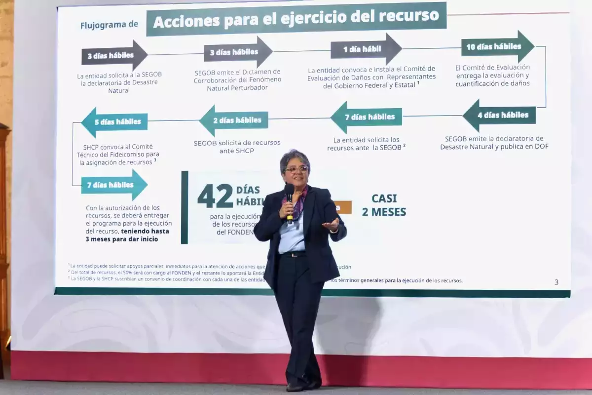 fonden-irregularidades