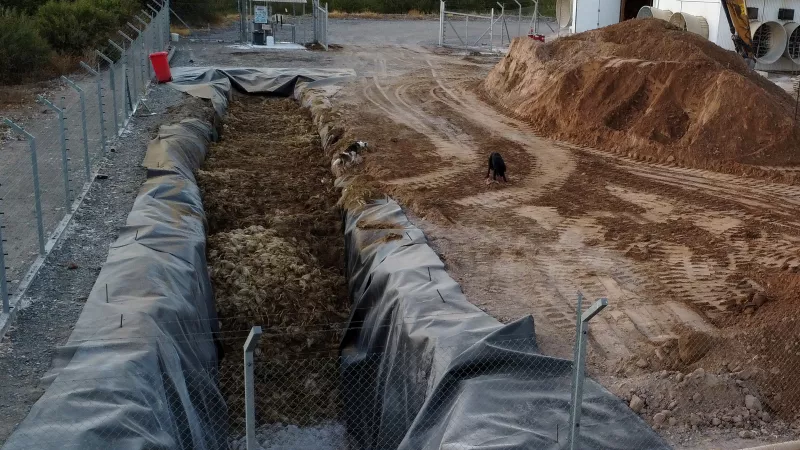 Se ven perros junto a pollos muertos dentro de un pozo en una granja avícola, en Rancagua, Chile, el 15 de marzo de 2023.