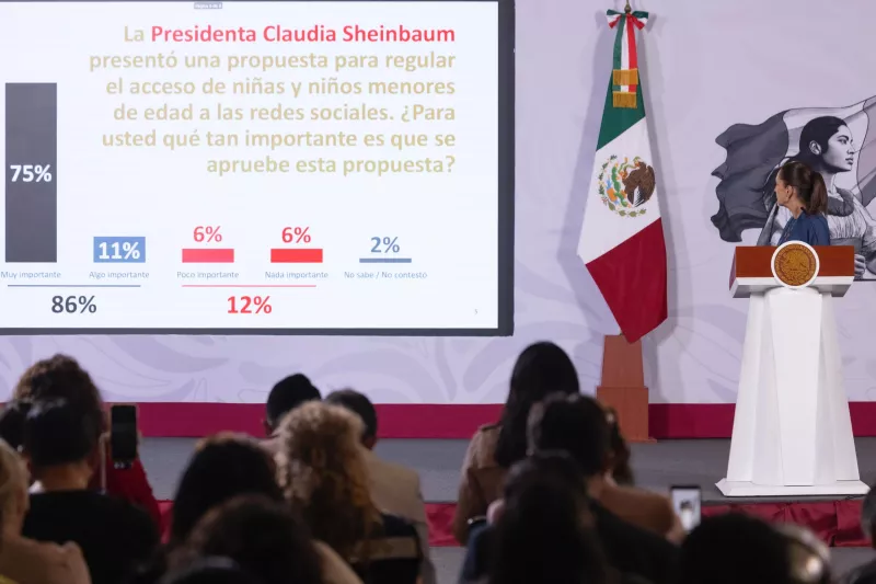 Sheinbaum encuesta fake news.jpeg