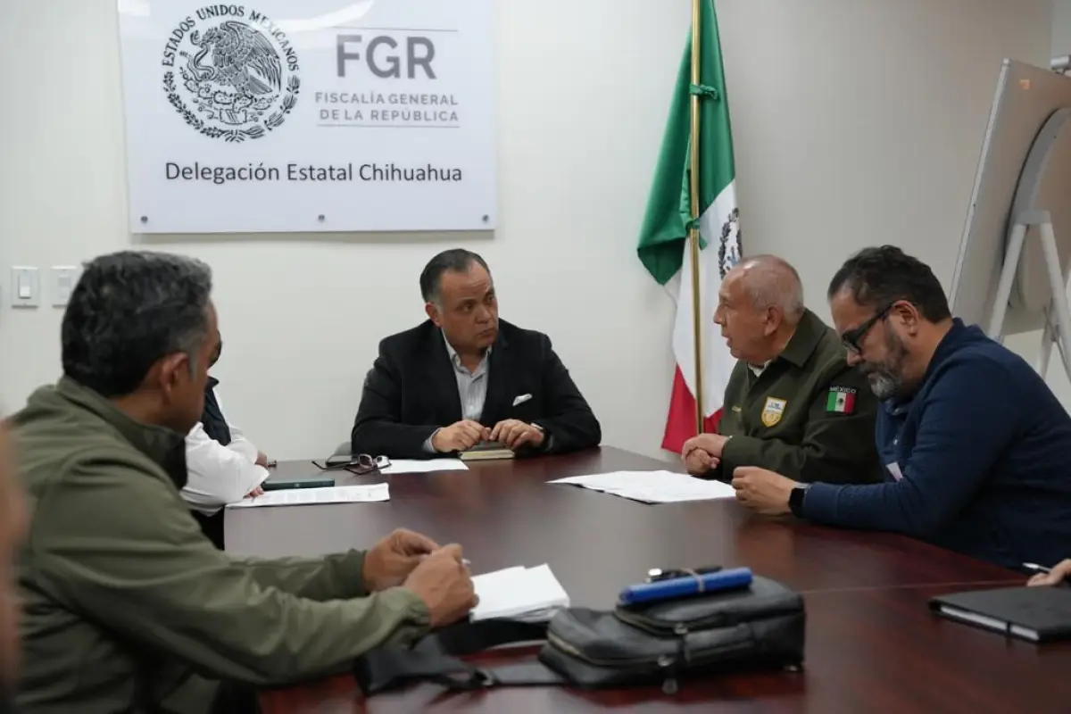 fgr-chihuahua.jpeg