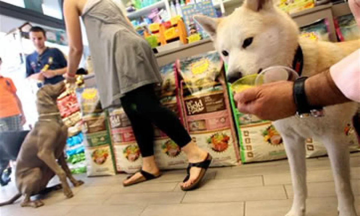 El helado para perros es servido en un vaso. (Foto: AP)