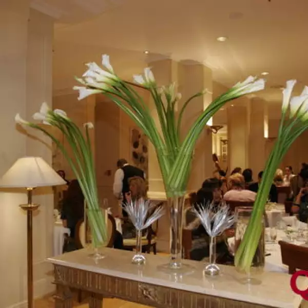 Aspectos. Presentación de Daniel Espinosa