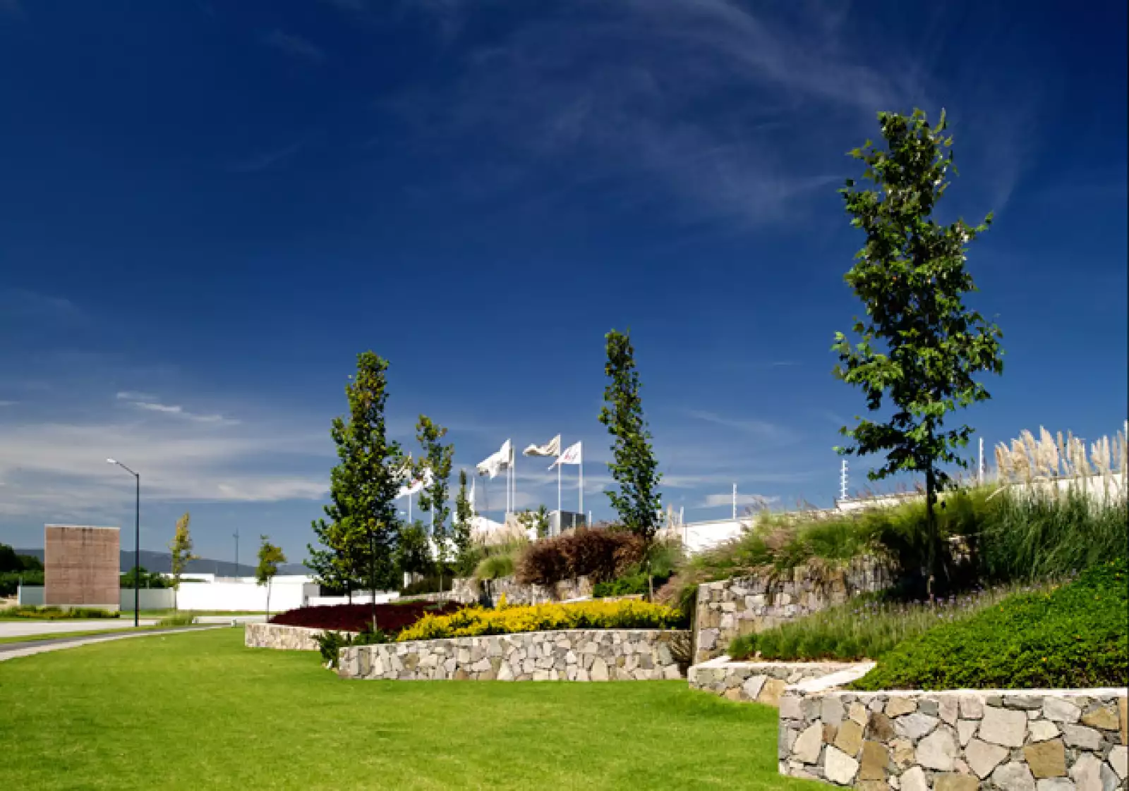 BOSQUES VALLARTA RESIDENCIAL