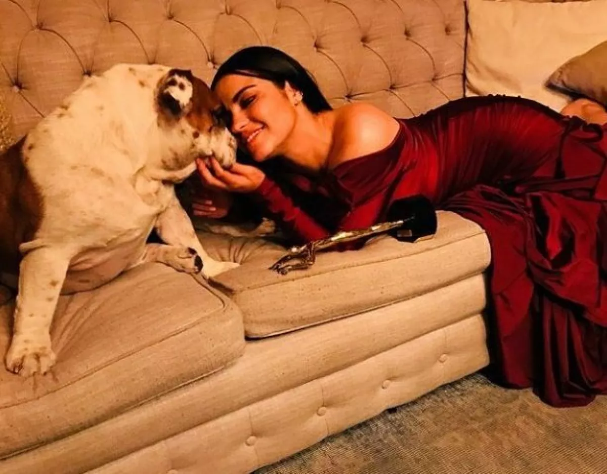 maite-perroni-perro