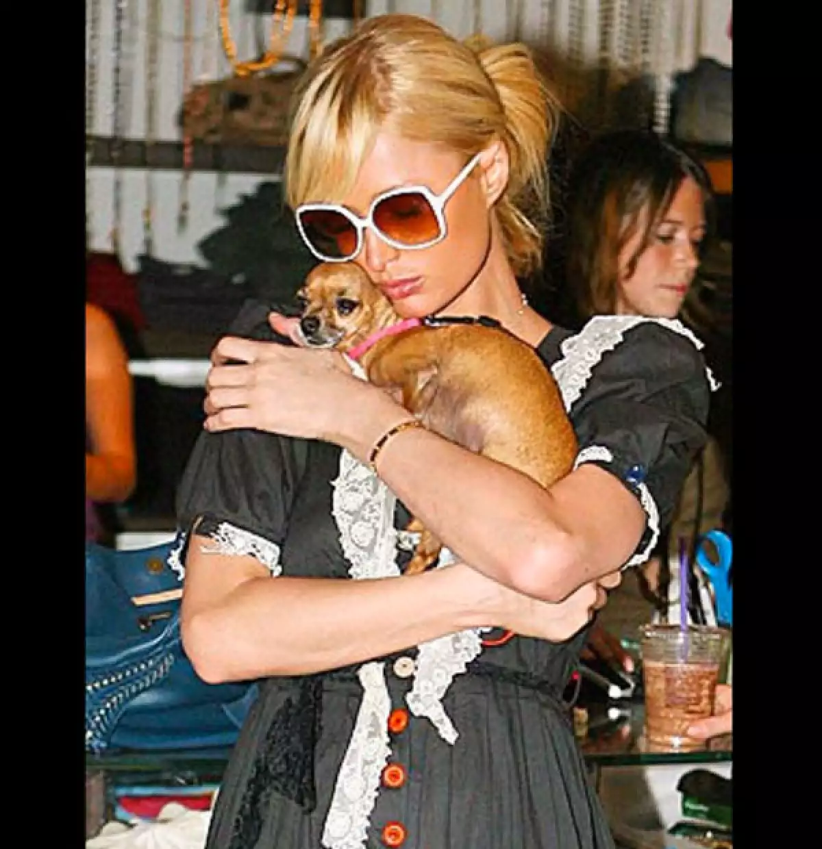 Después de 14 años de ser una compañera incondicional, Tinkerbell, la perrita chihuahueña de Paris Hilton pasó a mejor vida, por lo que la socialité y modelo está “devastada”.