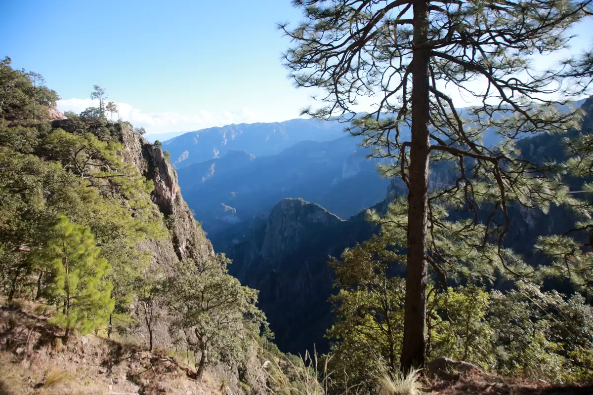 Sierra Tarahumara, Chihuahua