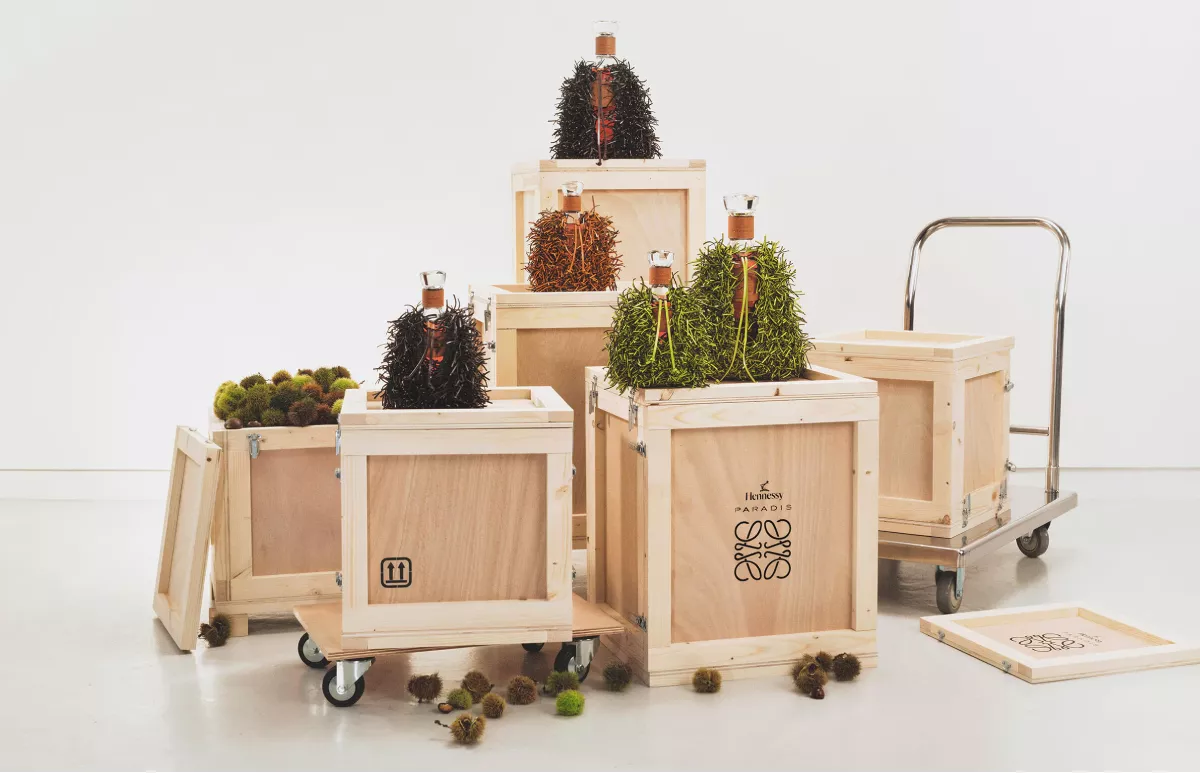 jonathan anderson loewe hennesy ultima colaboracion