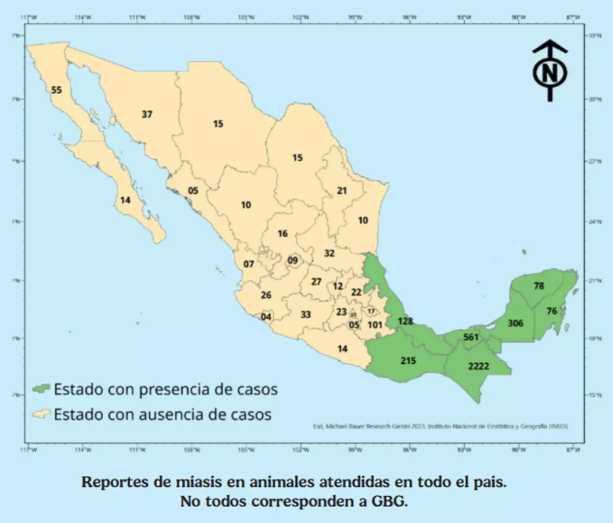 gusano-barrenador.png