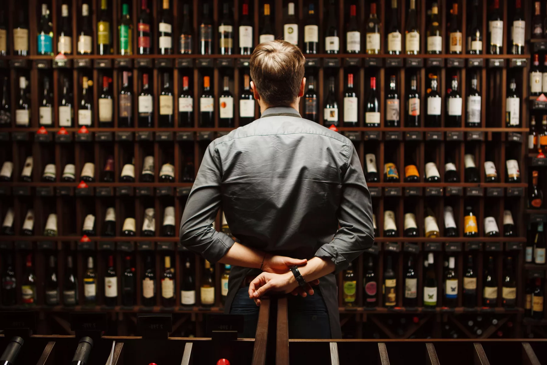 vinos bebidas
