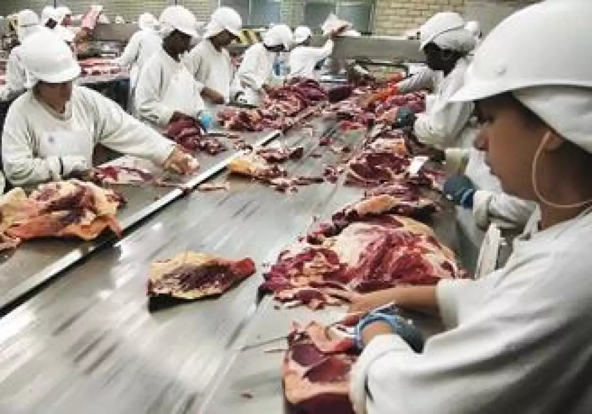 productora-carne-jbs