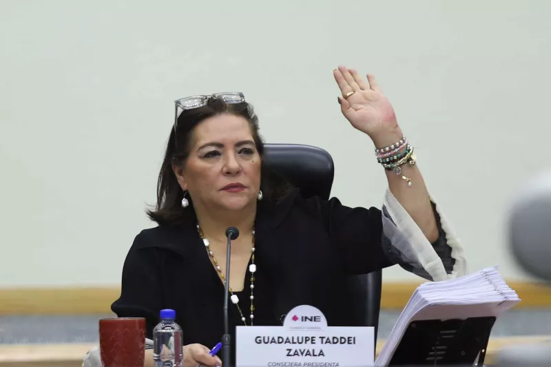 guadalupe taddei ine