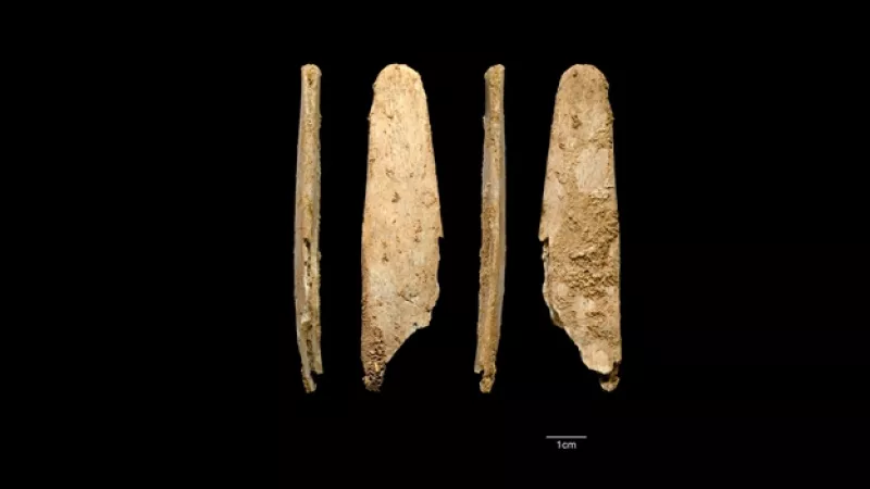 herramientas de huesos de los neandertal
