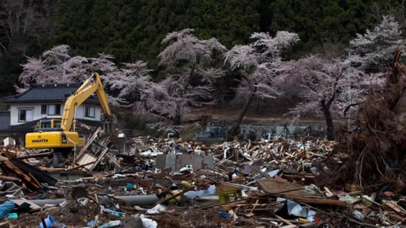 Japón - cerezos - Kamaishi