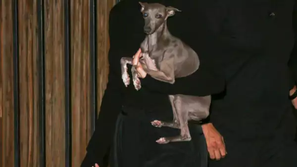 La menor de las Kardashian publicó un video la semana pasada de dos de sus mascotas, generando indignación entre sus fans por lo delgados que se veían.